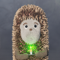 Hedgehog in the fog logo
